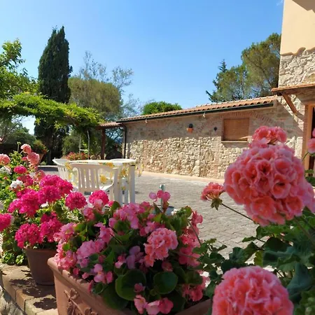 Apartment Mezzo Poggio Suvereto