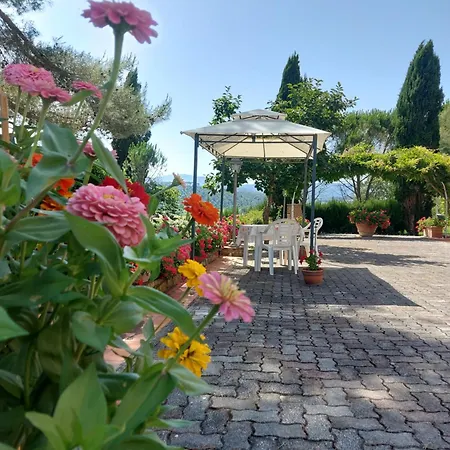 Mezzo Poggio Apartment